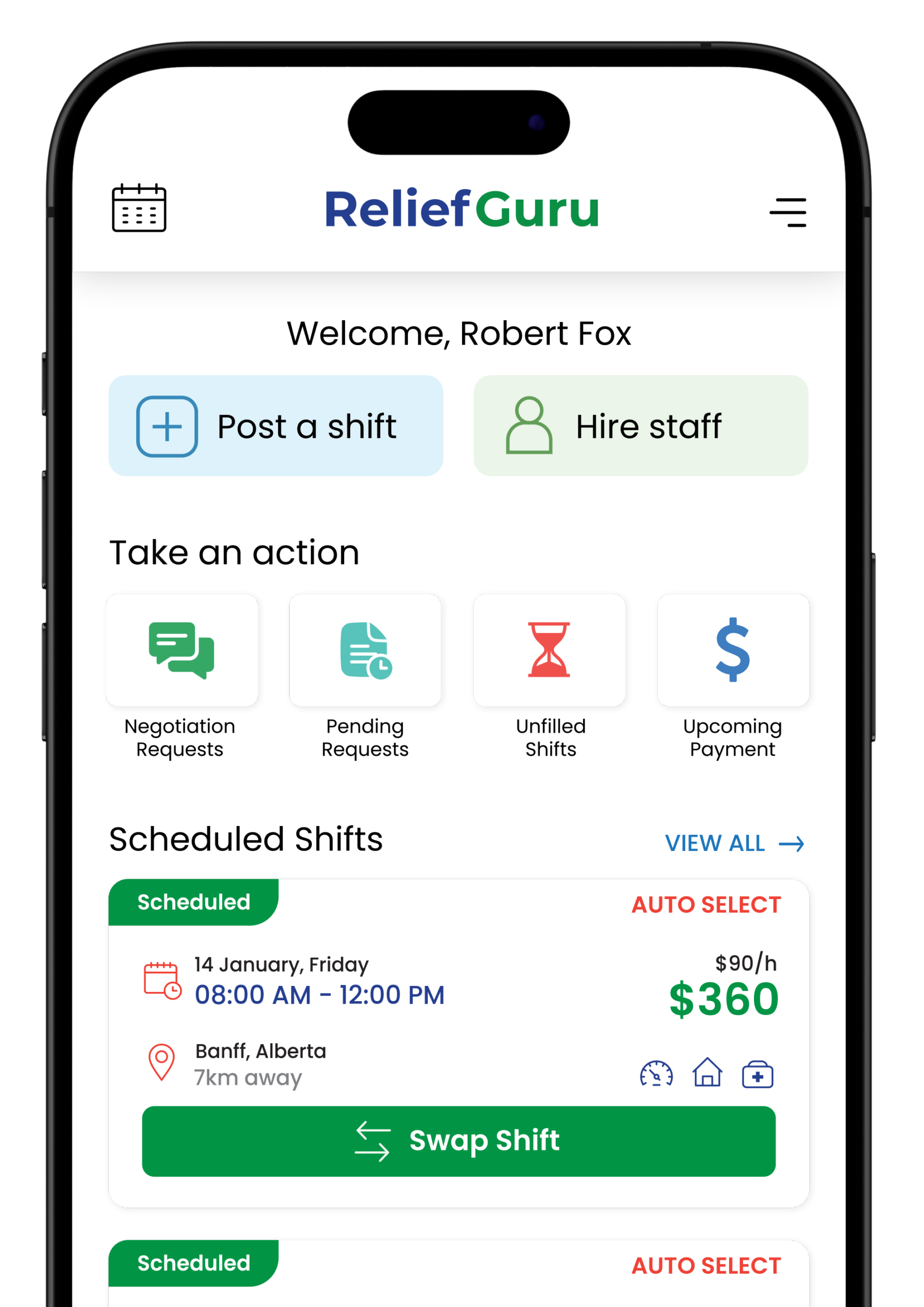ReliefGuru Banner Mockup